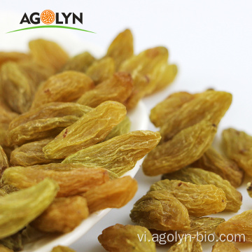 Agolyn tự nhiên màu xanh lá cây raisin khô nho khô